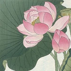 Meet your Posher, Brody